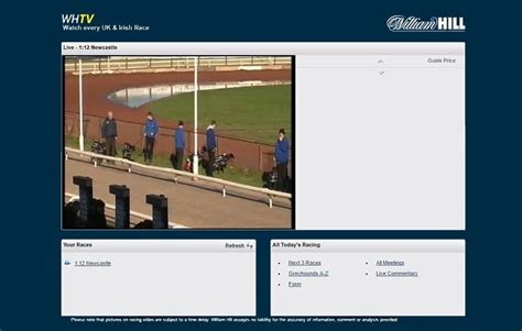 william hill live streaming greyhounds.